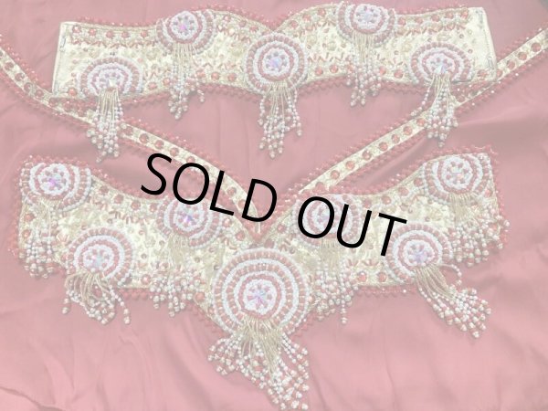 画像11: ゴールデンエラスタイル・ブラベルトコスチューム(スカート、アーム、ヘッドアクセ付き） (11)