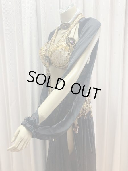 画像3: ゴールデンエラスタイル・ブラベルトコスチューム(スカート、アーム、ヘッドアクセ付き） (3)