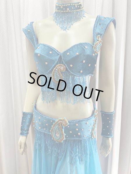 画像2: ゴールデンエラスタイル・ブラベルトコスチューム(スカート、アーム、ネック付き） (2)