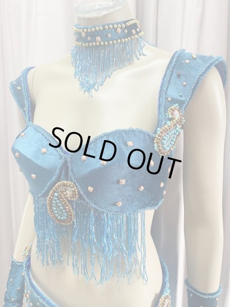 画像3: ゴールデンエラスタイル・ブラベルトコスチューム(スカート、アーム、ネック付き） (3)