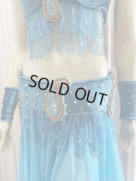 画像4: ゴールデンエラスタイル・ブラベルトコスチューム(スカート、アーム、ネック付き） (4)