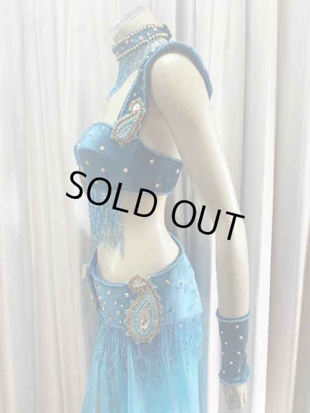 画像5: ゴールデンエラスタイル・ブラベルトコスチューム(スカート、アーム、ネック付き） (5)