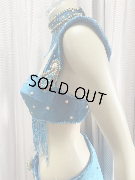 画像6: ゴールデンエラスタイル・ブラベルトコスチューム(スカート、アーム、ネック付き） (6)