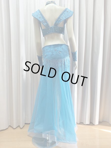 画像7: ゴールデンエラスタイル・ブラベルトコスチューム(スカート、アーム、ネック付き） (7)