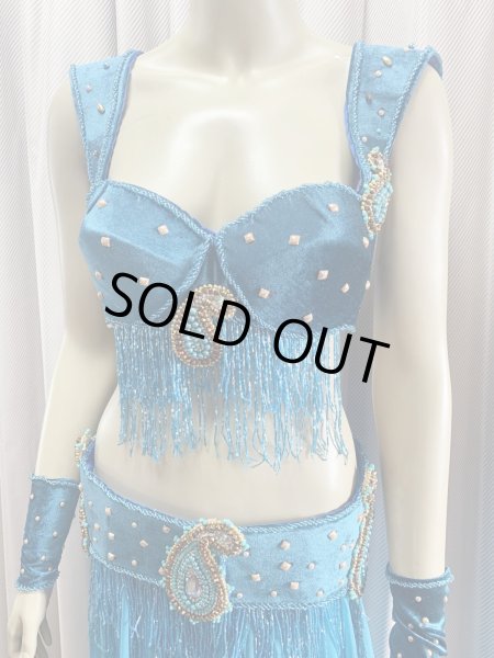 画像8: ゴールデンエラスタイル・ブラベルトコスチューム(スカート、アーム、ネック付き） (8)