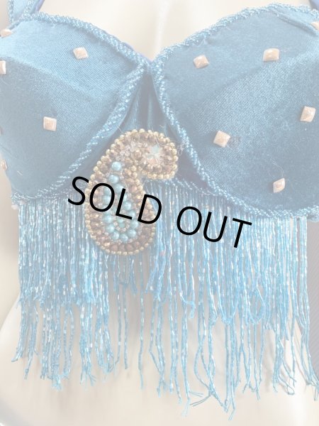 画像9: ゴールデンエラスタイル・ブラベルトコスチューム(スカート、アーム、ネック付き） (9)