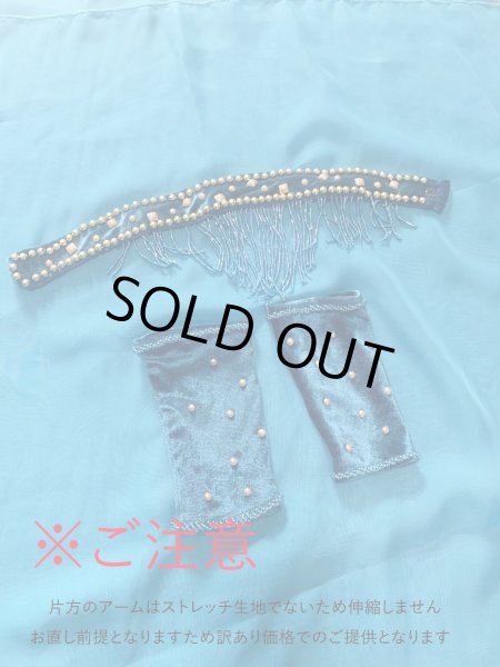 画像11: ゴールデンエラスタイル・ブラベルトコスチューム(スカート、アーム、ネック付き） (11)