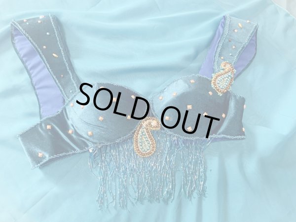 画像12: ゴールデンエラスタイル・ブラベルトコスチューム(スカート、アーム、ネック付き） (12)