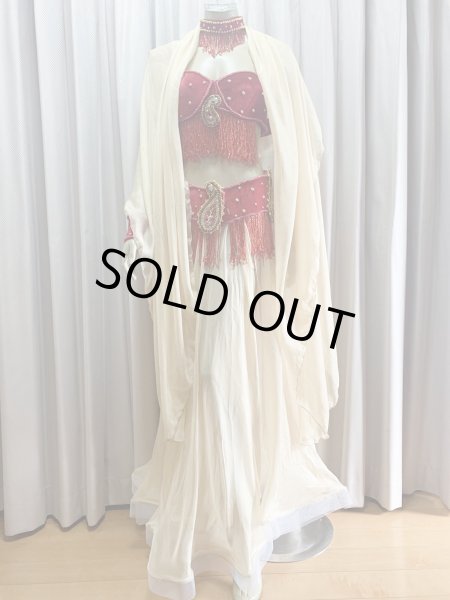 画像15: ゴールデンエラスタイル・ブラベルトコスチューム(スカート、アーム、ネック付き） (15)