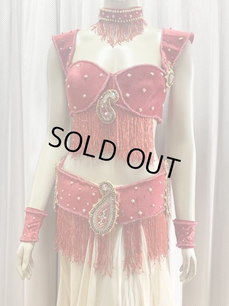 画像2: ゴールデンエラスタイル・ブラベルトコスチューム(スカート、アーム、ネック付き） (2)