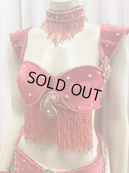 画像5: ゴールデンエラスタイル・ブラベルトコスチューム(スカート、アーム、ネック付き） (5)