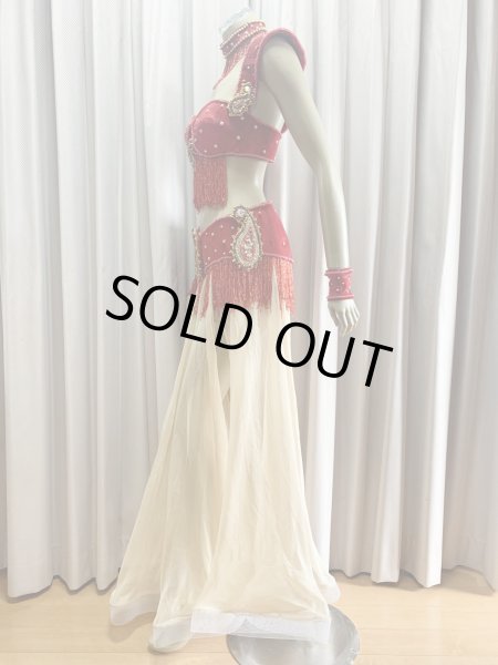 画像3: ゴールデンエラスタイル・ブラベルトコスチューム(スカート、アーム、ネック付き） (3)