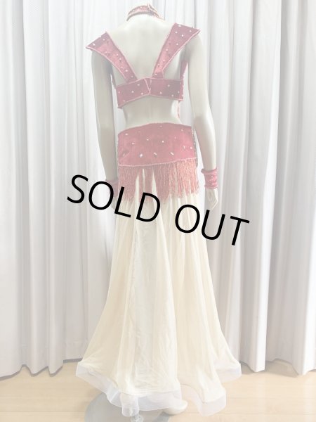 画像4: ゴールデンエラスタイル・ブラベルトコスチューム(スカート、アーム、ネック付き） (4)