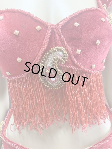 画像8: ゴールデンエラスタイル・ブラベルトコスチューム(スカート、アーム、ネック付き） (8)