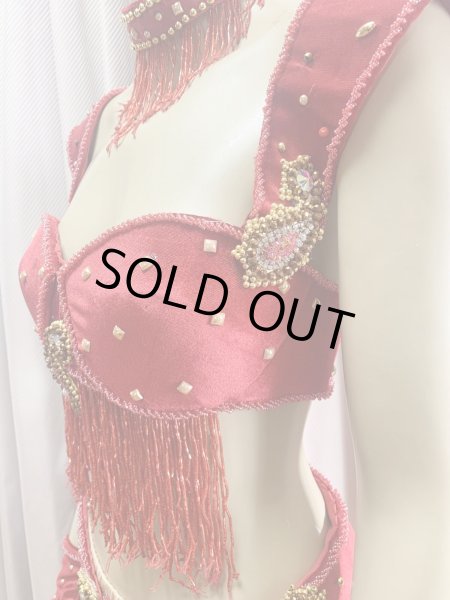 画像9: ゴールデンエラスタイル・ブラベルトコスチューム(スカート、アーム、ネック付き） (9)