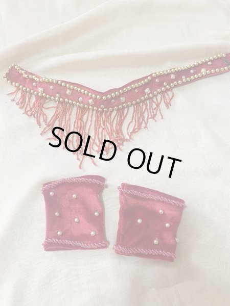 画像14: ゴールデンエラスタイル・ブラベルトコスチューム(スカート、アーム、ネック付き） (14)