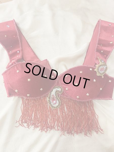 画像11: ゴールデンエラスタイル・ブラベルトコスチューム(スカート、アーム、ネック付き） (11)