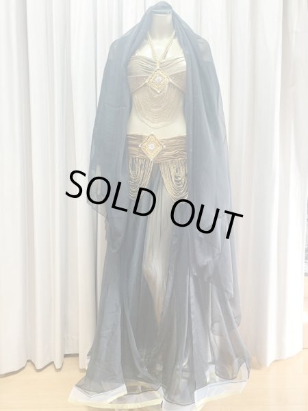 画像13: ゴールデンエラスタイル・ブラベルトコスチューム(スカート、スリーブ、ベール付き） (13)