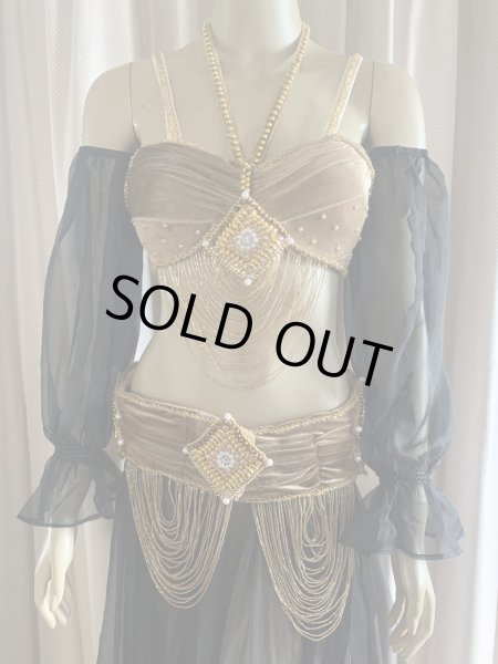 画像2: ゴールデンエラスタイル・ブラベルトコスチューム(スカート、スリーブ、ベール付き） (2)