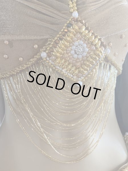 画像4: ゴールデンエラスタイル・ブラベルトコスチューム(スカート、スリーブ、ベール付き） (4)