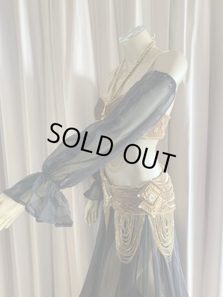 画像5: ゴールデンエラスタイル・ブラベルトコスチューム(スカート、スリーブ、ベール付き） (5)