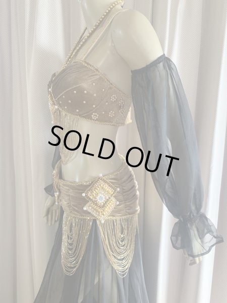 画像6: ゴールデンエラスタイル・ブラベルトコスチューム(スカート、スリーブ、ベール付き） (6)