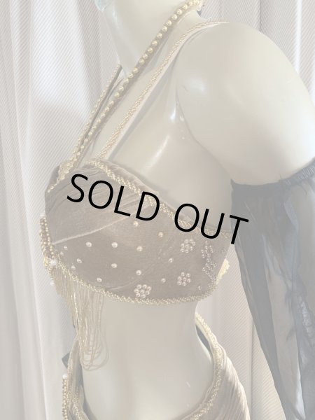 画像7: ゴールデンエラスタイル・ブラベルトコスチューム(スカート、スリーブ、ベール付き） (7)