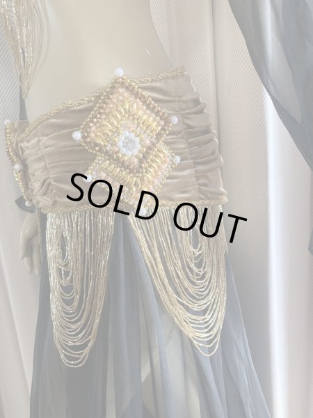 画像8: ゴールデンエラスタイル・ブラベルトコスチューム(スカート、スリーブ、ベール付き） (8)