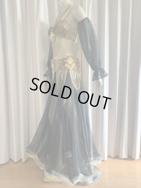 画像9: ゴールデンエラスタイル・ブラベルトコスチューム(スカート、スリーブ、ベール付き） (9)