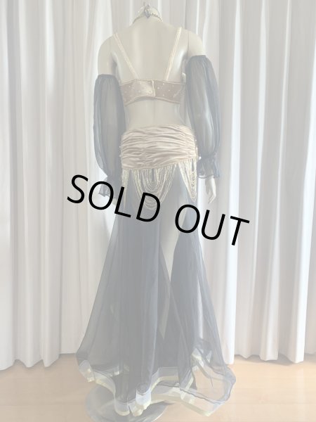 画像10: ゴールデンエラスタイル・ブラベルトコスチューム(スカート、スリーブ、ベール付き） (10)