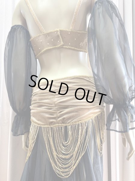 画像11: ゴールデンエラスタイル・ブラベルトコスチューム(スカート、スリーブ、ベール付き） (11)