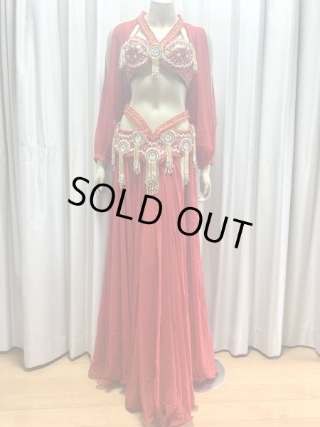 画像1: ゴールデンエラスタイル・ブラベルトコスチューム(スカート、アーム、バンド、ベール付き） (1)