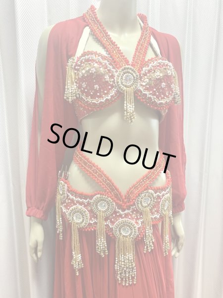 画像2: ゴールデンエラスタイル・ブラベルトコスチューム(スカート、アーム、バンド、ベール付き） (2)