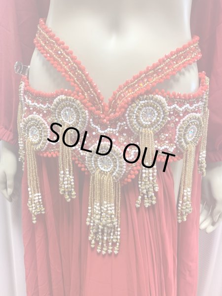 画像7: ゴールデンエラスタイル・ブラベルトコスチューム(スカート、アーム、バンド、ベール付き） (7)