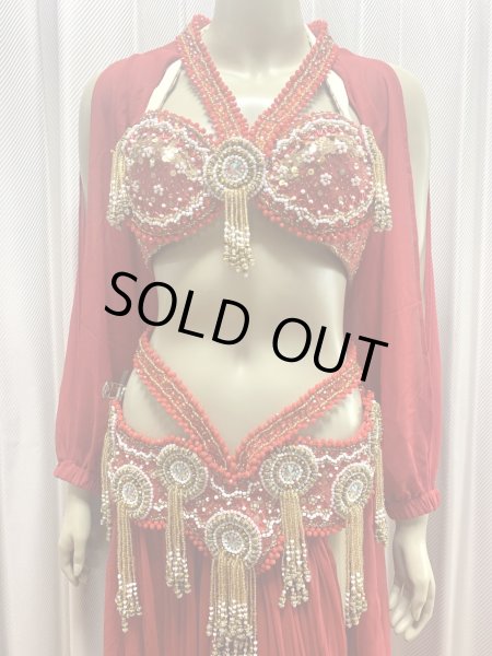 画像3: ゴールデンエラスタイル・ブラベルトコスチューム(スカート、アーム、バンド、ベール付き） (3)