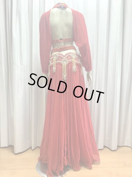 画像6: ゴールデンエラスタイル・ブラベルトコスチューム(スカート、アーム、バンド、ベール付き） (6)