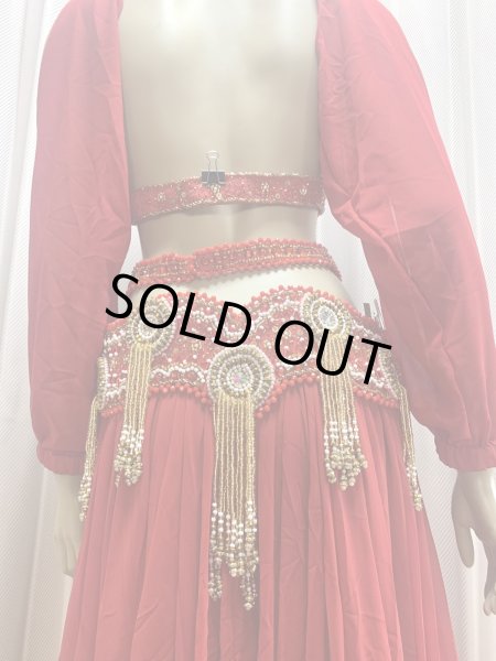 画像8: ゴールデンエラスタイル・ブラベルトコスチューム(スカート、アーム、バンド、ベール付き） (8)