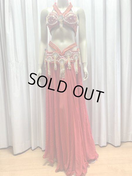 画像9: ゴールデンエラスタイル・ブラベルトコスチューム(スカート、アーム、バンド、ベール付き） (9)