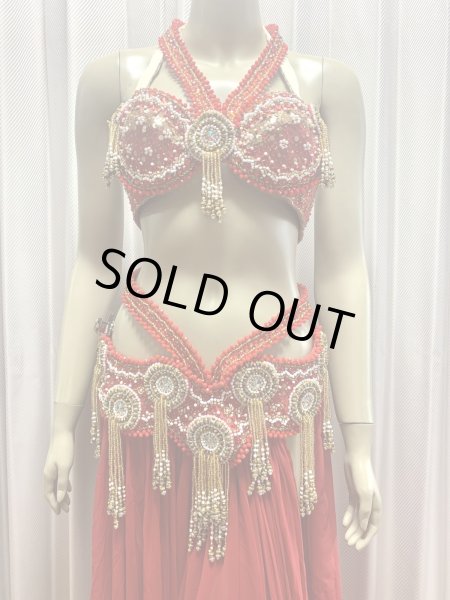 画像10: ゴールデンエラスタイル・ブラベルトコスチューム(スカート、アーム、バンド、ベール付き） (10)