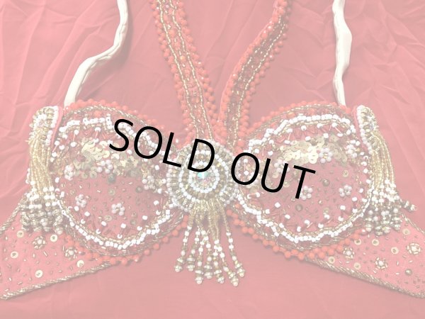 画像14: ゴールデンエラスタイル・ブラベルトコスチューム(スカート、アーム、バンド、ベール付き） (14)