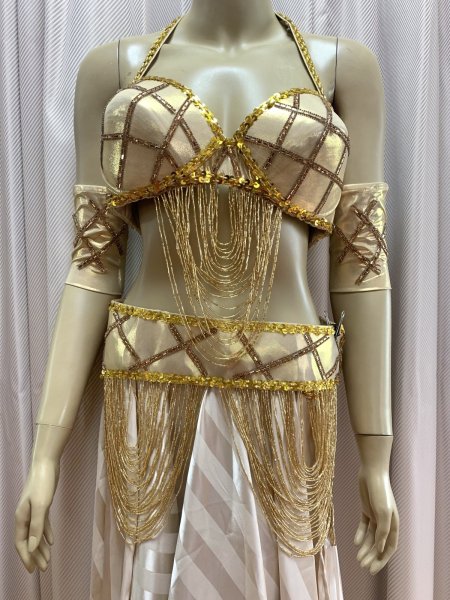 画像2: ゴールデンエラスタイルブラベルトコスチューム（アーム、ベール200×140cm付き） (2)