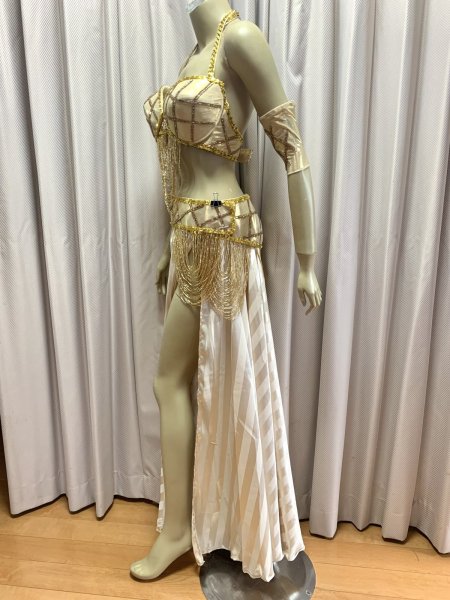 画像4: ゴールデンエラスタイルブラベルトコスチューム（アーム、ベール200×140cm付き） (4)