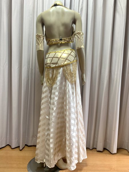 画像5: ゴールデンエラスタイルブラベルトコスチューム（アーム、ベール200×140cm付き） (5)