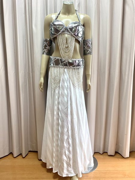 画像1: ゴールデンエラスタイルブラベルトコスチューム（アーム、ベール200×140cm付き） (1)