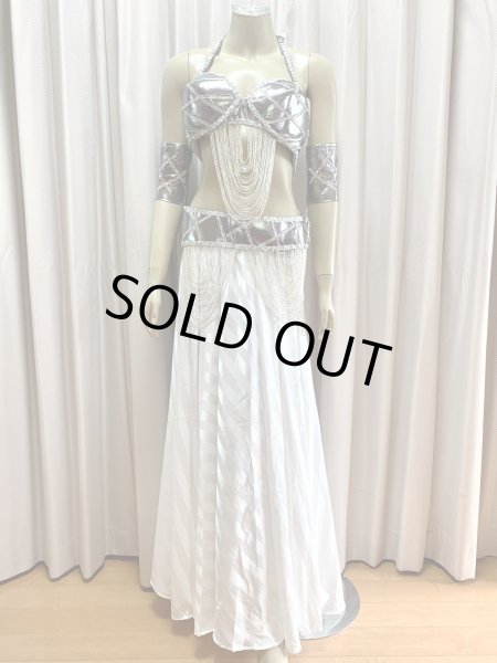 画像1: ゴールデンエラスタイルブラベルトコスチューム（アーム、ベール200×140cm付き） (1)