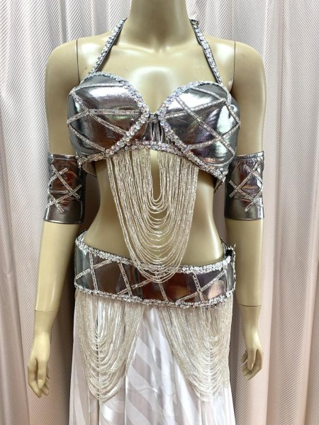 画像2: ゴールデンエラスタイルブラベルトコスチューム（アーム、ベール200×140cm付き） (2)