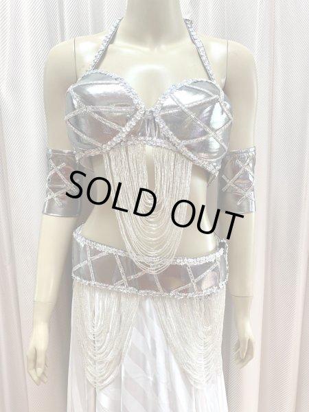 画像2: ゴールデンエラスタイルブラベルトコスチューム（アーム、ベール200×140cm付き） (2)