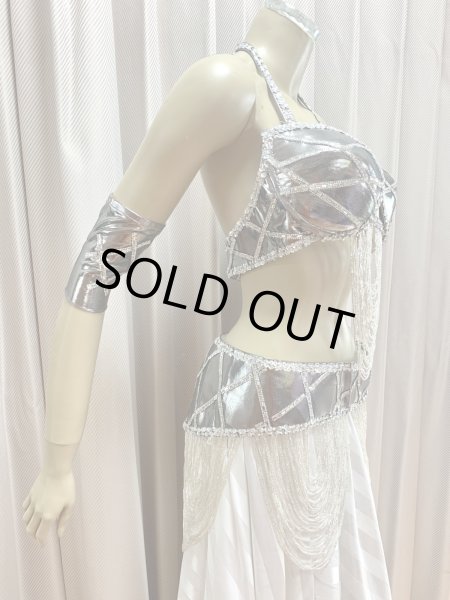 画像3: ゴールデンエラスタイルブラベルトコスチューム（アーム、ベール200×140cm付き） (3)