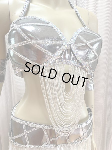 画像4: ゴールデンエラスタイルブラベルトコスチューム（アーム、ベール200×140cm付き） (4)