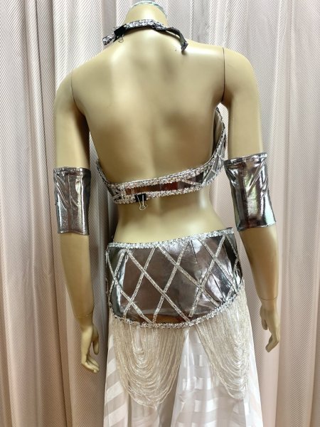 画像5: ゴールデンエラスタイルブラベルトコスチューム（アーム、ベール200×140cm付き） (5)